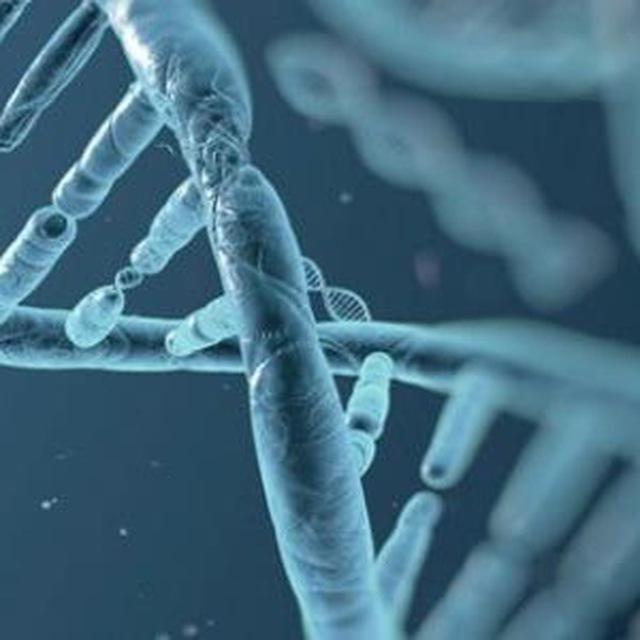 biology 1 Dr/jassim