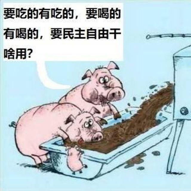 支那傻事