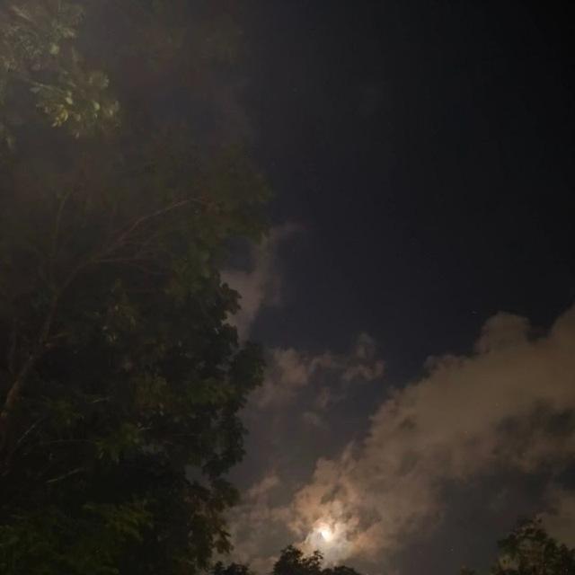 ་ ، ˖ ࣪ ་𝐁𝐥𝐨𝐬𝐬𝐨𝐦 𝐏𝐮𝐟𝐟𝐢𝐞ˑ ᳝ ࣪ 𓄹🌒
