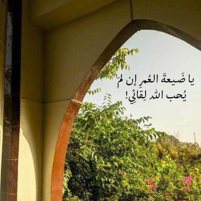 زاد الآخرة