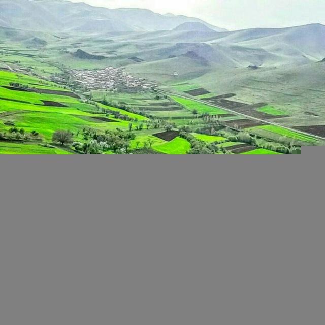 گرگر_نیوز