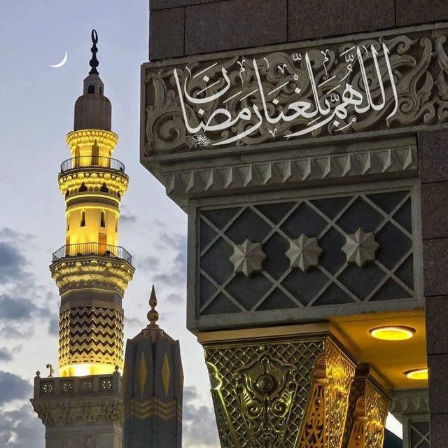 صُحْبة مُنْتَهَاهَا الْجَنَّة| أولى وتانية وتالثة‌ㇱ