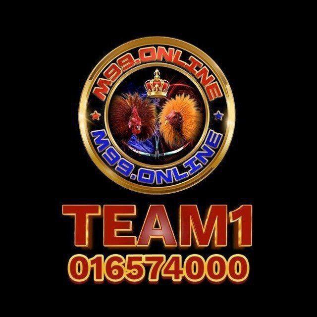 3- M99TEAM1មាន់ជល់សុទ្ធ