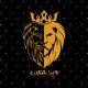 Lion Konkuri •|• لاین کنکوری