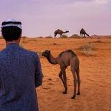 قناة ناجح الشراري