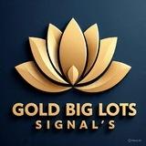 Gold big lots siginals
