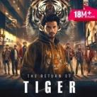 The Return Of Tiger Pocket Fm