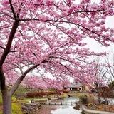 ثانوية حلب للبنات