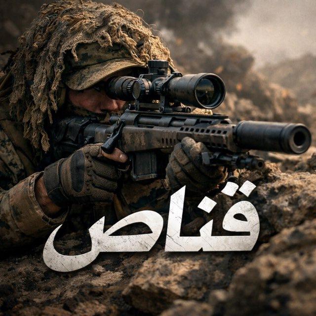 توقعات القناص 12