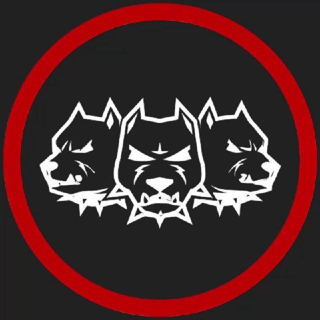 CERBERUS