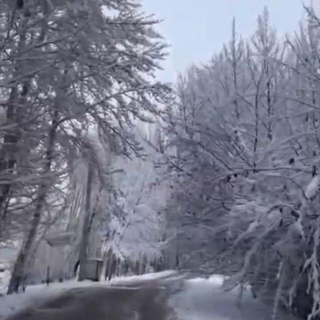 کانال اطلاع رسانی مهارت آموزان ماده ٢٨