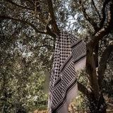 موٌطِنِيِّ|| ,𓂆🇵🇸