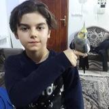 پروانه‌ی یوتا