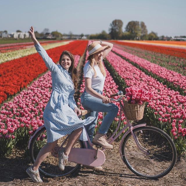 Dutch_expat