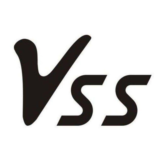VSS频道(八宝粥行动)