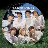 BTS NEWS ⟭⟬⁷