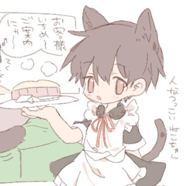 Шотакон | shota