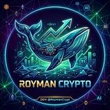 Royman Crypto - INVESTMENT
