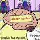 Mbbs notes