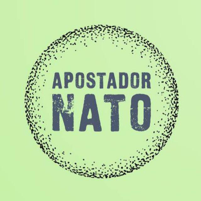 Apostador Nato Chat