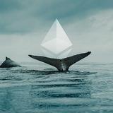 ETH WHALES 🐋