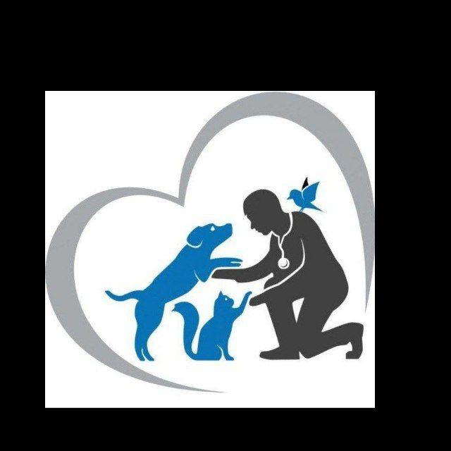 Vetworld