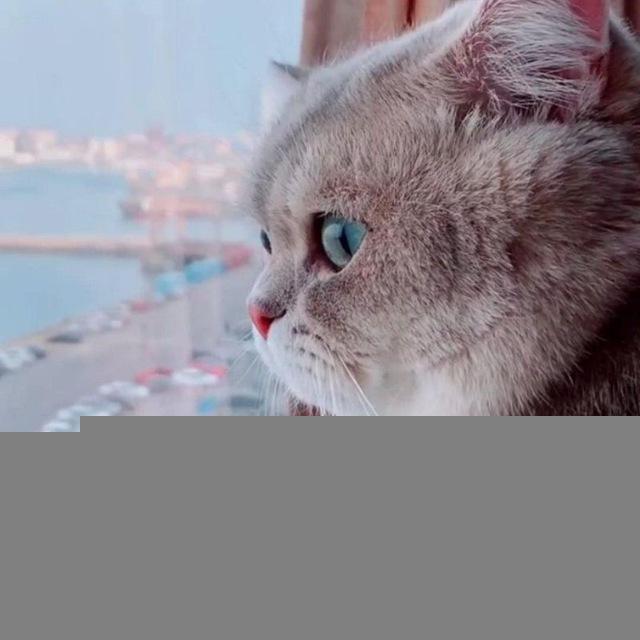 دوره های درخواستی