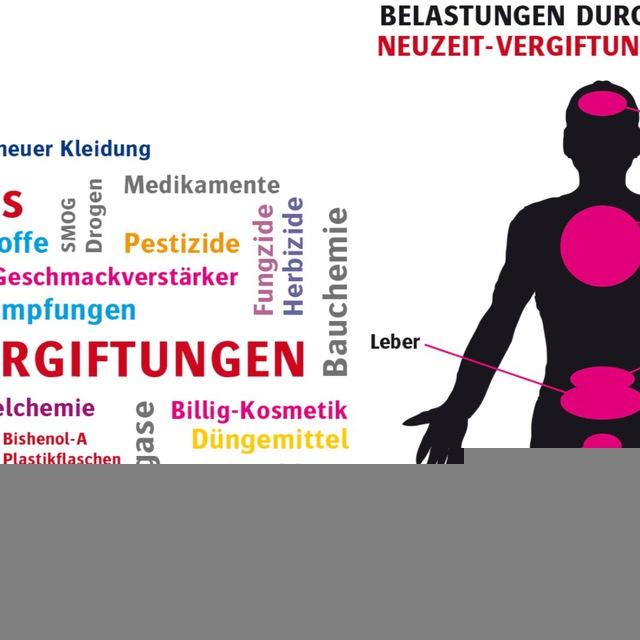 💢 Lebensmittel Friedhof Offiziell