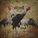 ចៅសេបី🐔❤️