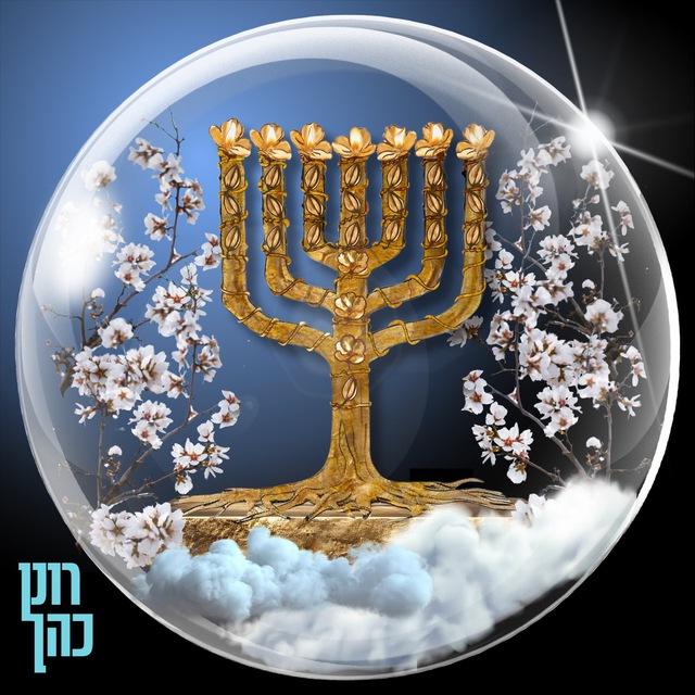 רונן כהן מורה תורה לישראל