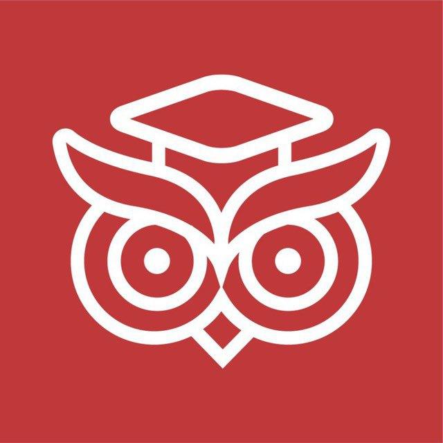 Коуч высших руководителей | Executive coach