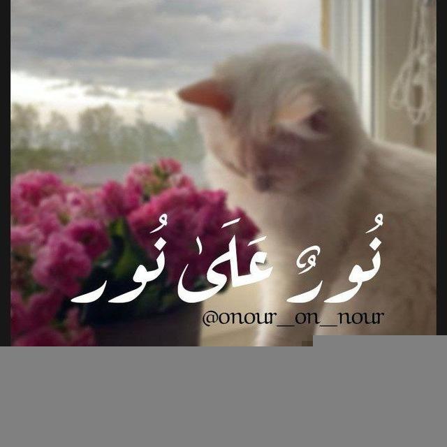 نُوࢪٌ عَلَىٰ نُوࢪ