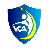 Vidya Career Academy