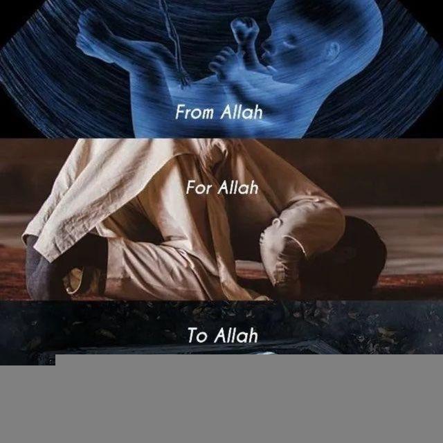 Свет Таухида (Light Of Tawheed)