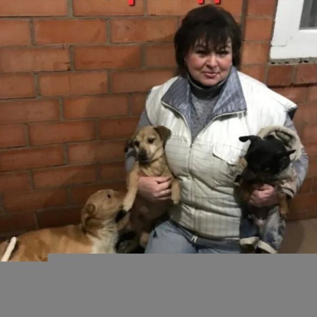 🐕Дом.мини-приют травмированных дом.животных «Кассиопея».