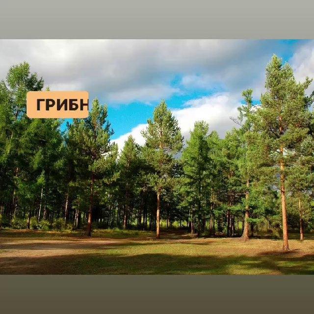 Очаків розклад автобусів