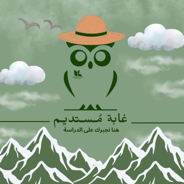 غابة مستديم 🌳