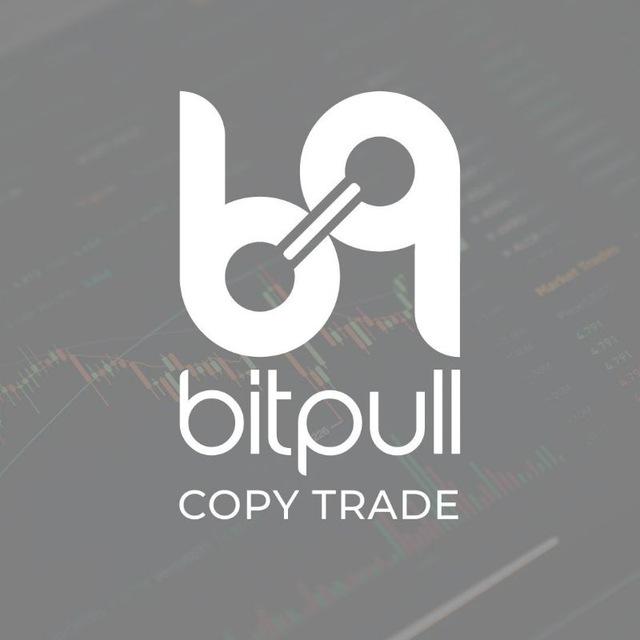 Bitpull Copy Trade