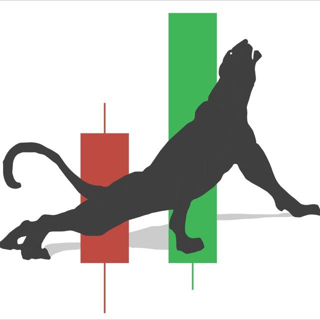 TRY PARDUS GOLD/FOREX 📈💰