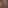 New leaks シ