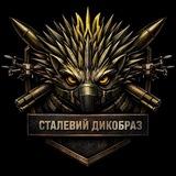 ➕Усна історія війни за Незалежність України 2014 - 2024 року.