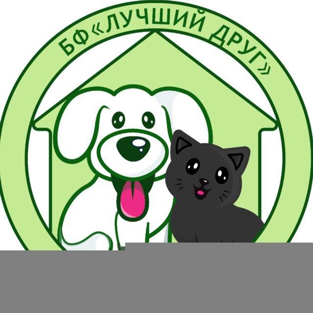 БФ «Лучший друг» г.Мариуполь. Помощь бездомным животным