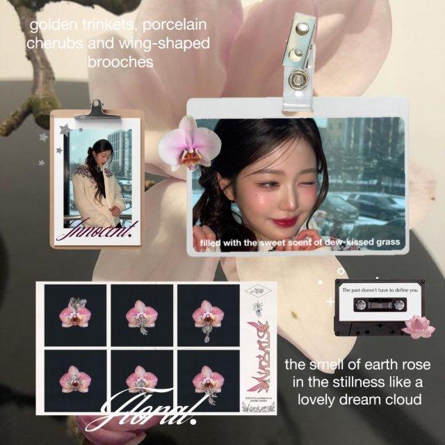 ָ࣪ 𖥔˖ 𝗧𝗛𝗘 𝗡𝗔𝗟𝗔 𝗦𝗧𝗢𝗥𝗘𐙚﹅