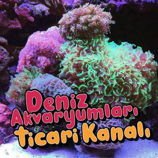 Ticari Deniz Akvaryumları
