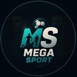 Mega Sportt | World Cup