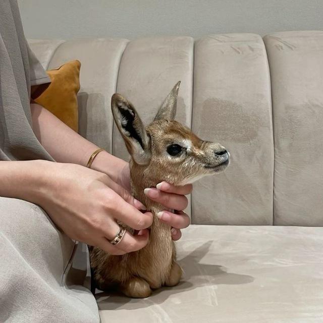 🦌