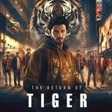 The Return of Tiger Pocket Fm