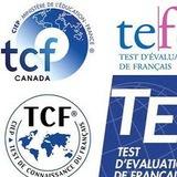 TEF TCF Preparation