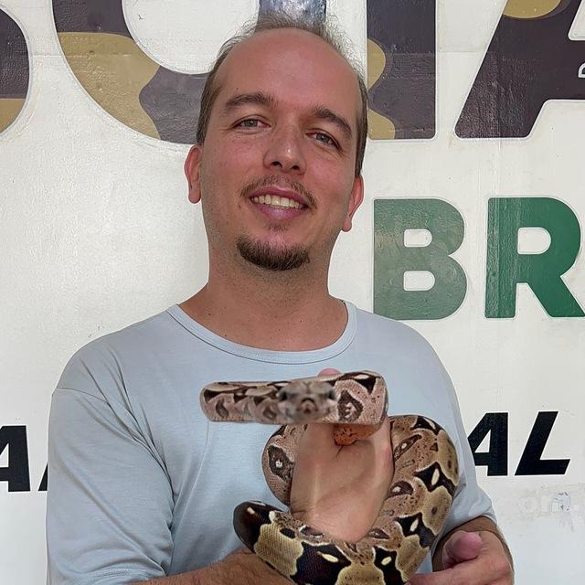 Jiboias Brasil e Animais Brasil Novidades