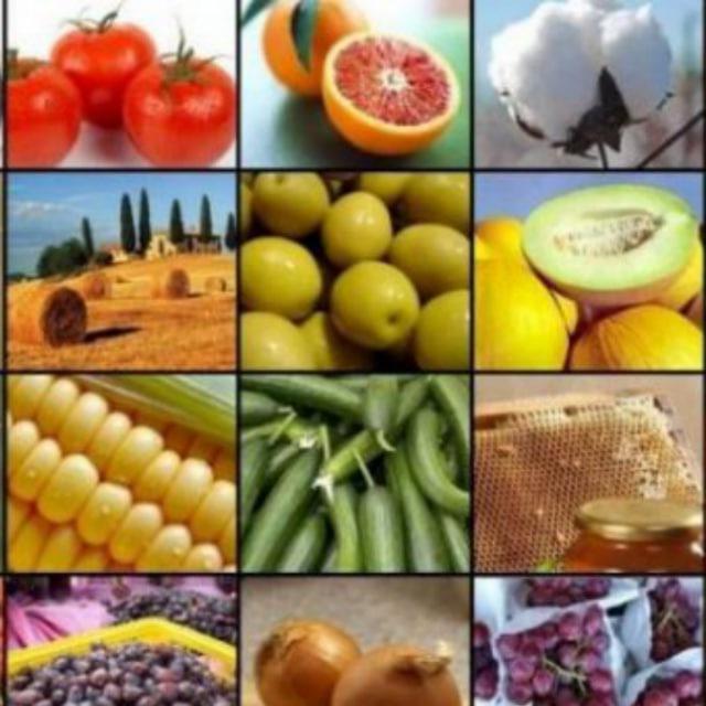 AGRI COMMODITIES MARKET